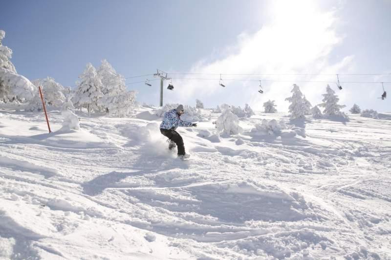 Ski & Nature Javalambre Camarena de la Sierra Dış mekan fotoğraf